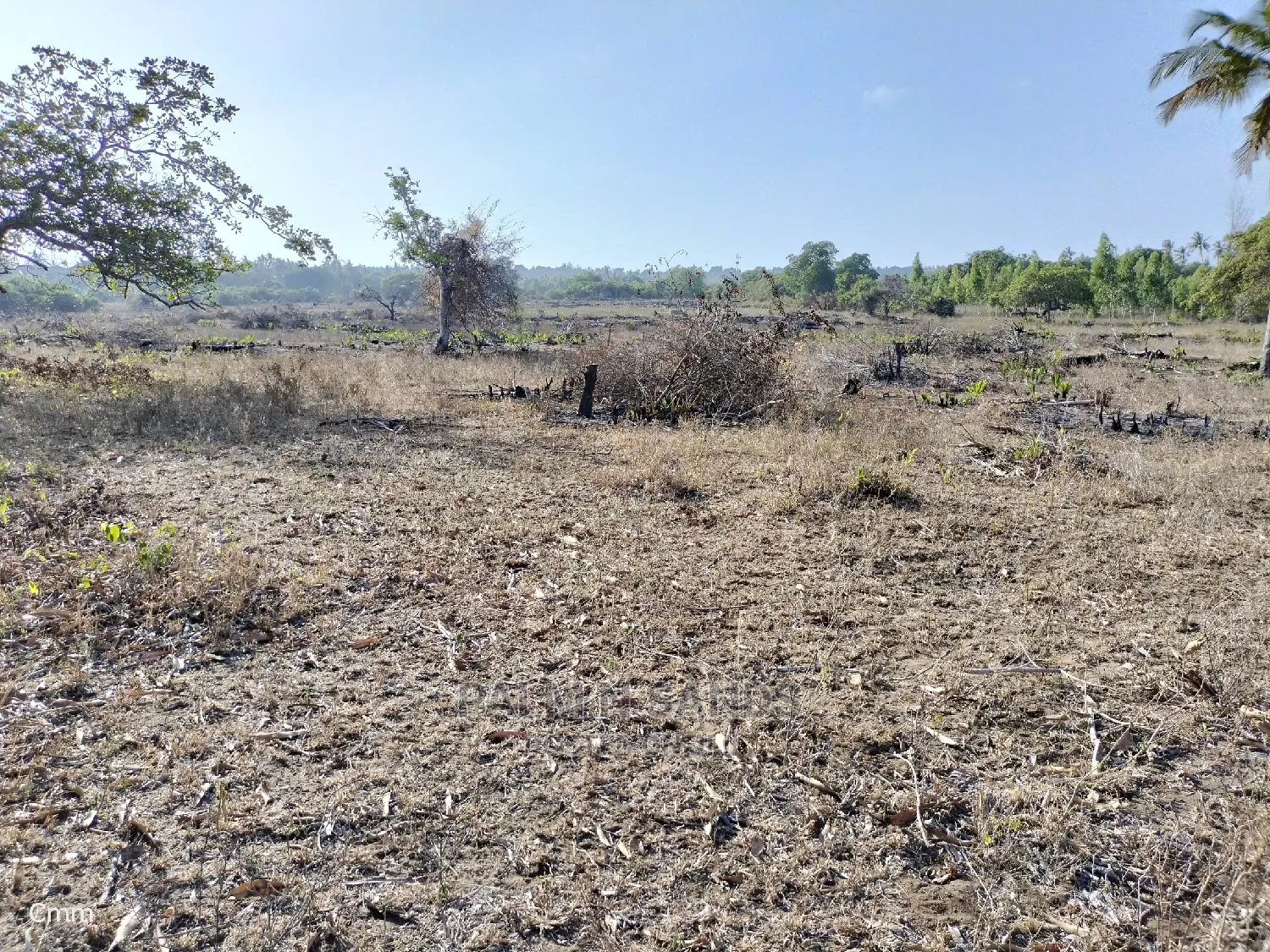 Mvindeni 12 Acres Prime Property