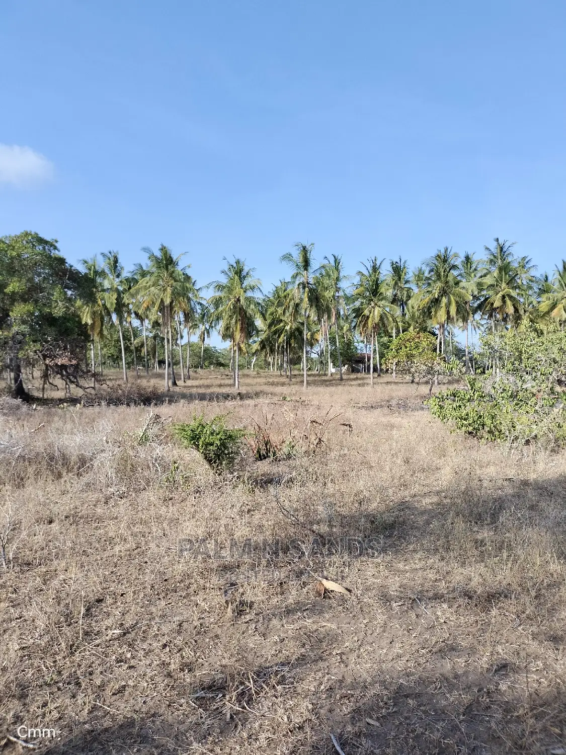 Mvindeni 12 Acres Prime Property