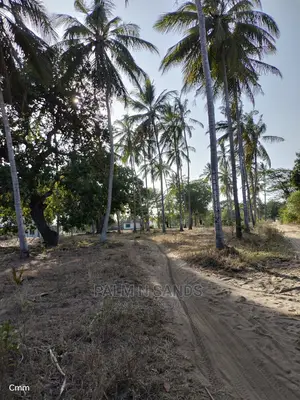 Mvindeni 12 Acres Prime Property