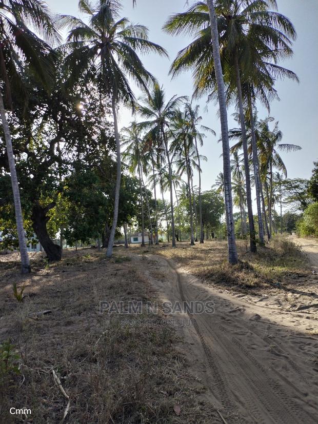 Mvindeni 12 Acres Prime Property - thumbnail 2