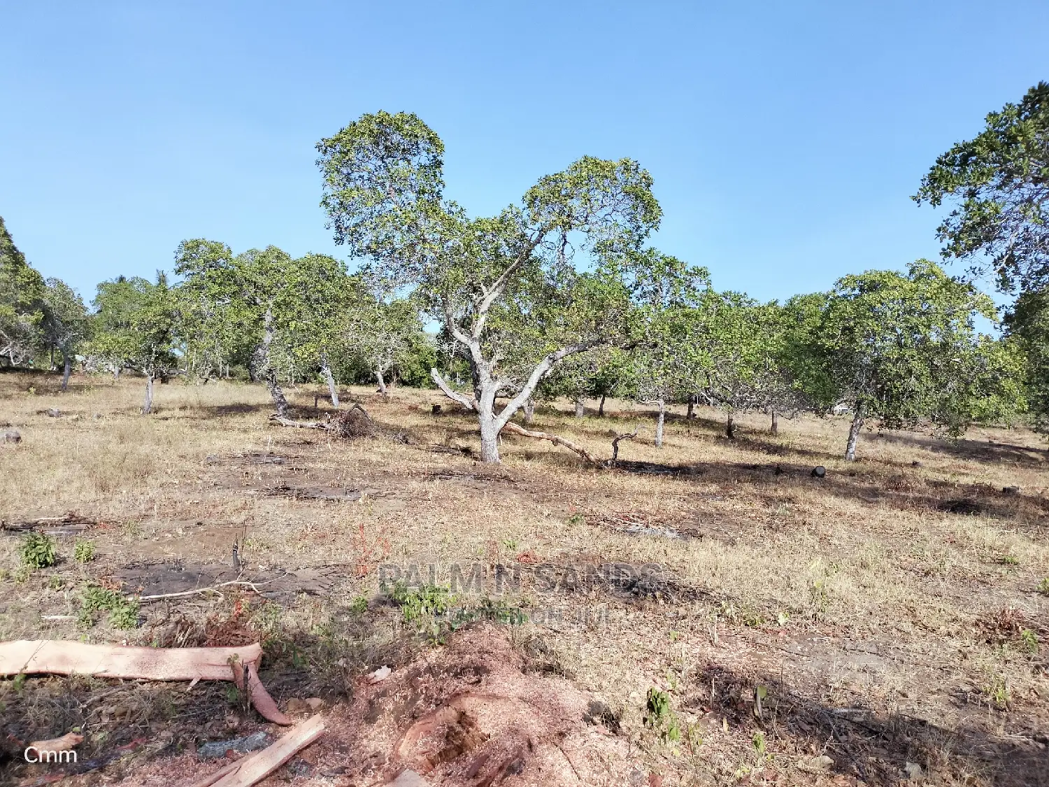 Mvindeni 12 Acres Prime Property