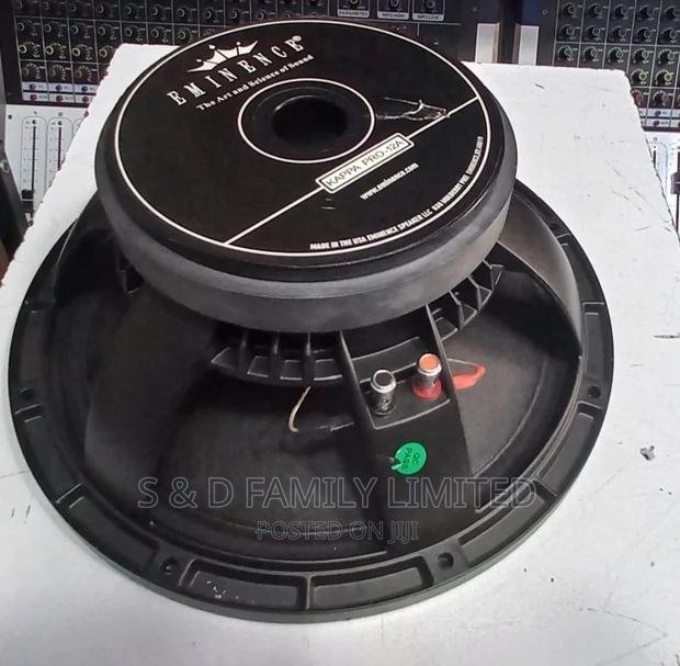 Eminence 12 Inch Naked Speakers