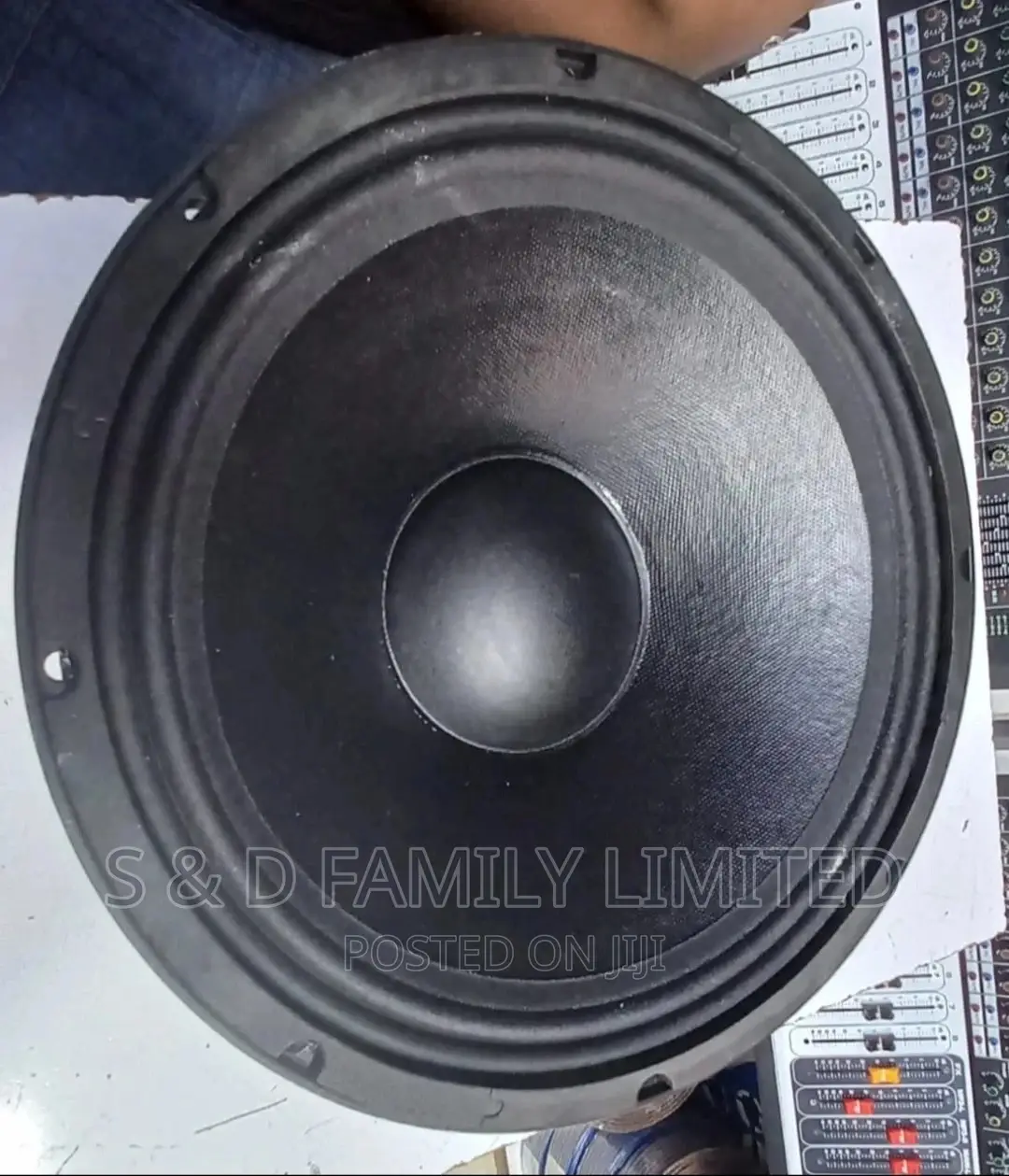 Eminence 12 Inch Naked Speakers