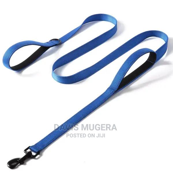Urbadog Traffic Dual-Handle Reflective Dog Leash, Blue With - main view
