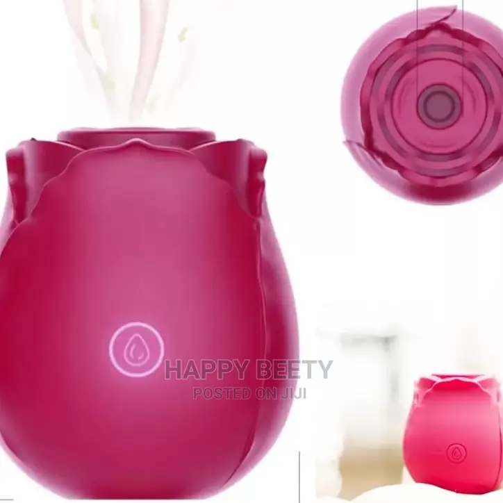 *The ROSE Vibrator* *