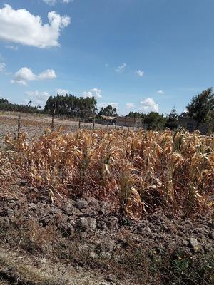 1/2 Acre on Sale at Flyover Kinangop - thumbnail 2