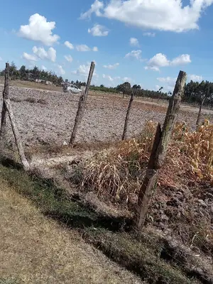 1/2 Acre on Sale at Flyover Kinangop