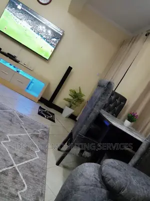 DSTV Installation and TV Mounting