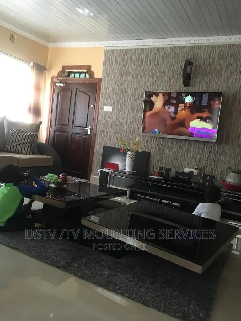 DSTV Installation and TV Mounting