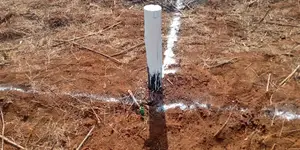 Prime 50*100 Plots Kikuyu,Migumuini