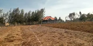 Prime 50*100 Plots Kikuyu,Migumuini