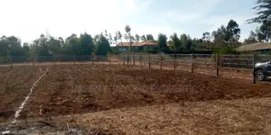 Prime 50*100 Plots Kikuyu,Migumuini