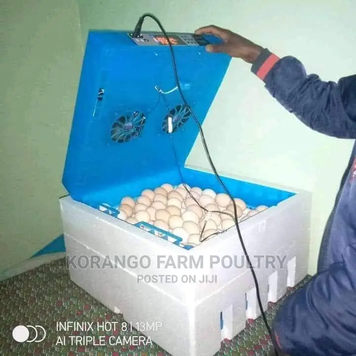 Solar Automatic 128 Eggs Incubator