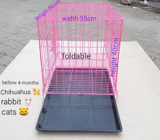 Collapsible Puppies Cage - main view