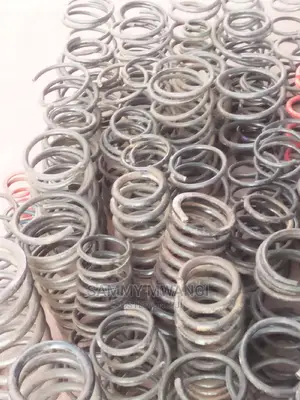 Mercedez Benz Heavy Duty Springs