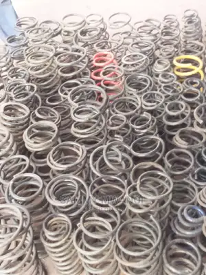 Lexus Heavy Duty Springs