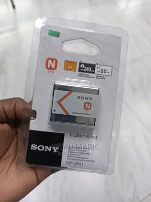 Sony Np BN1 Battery