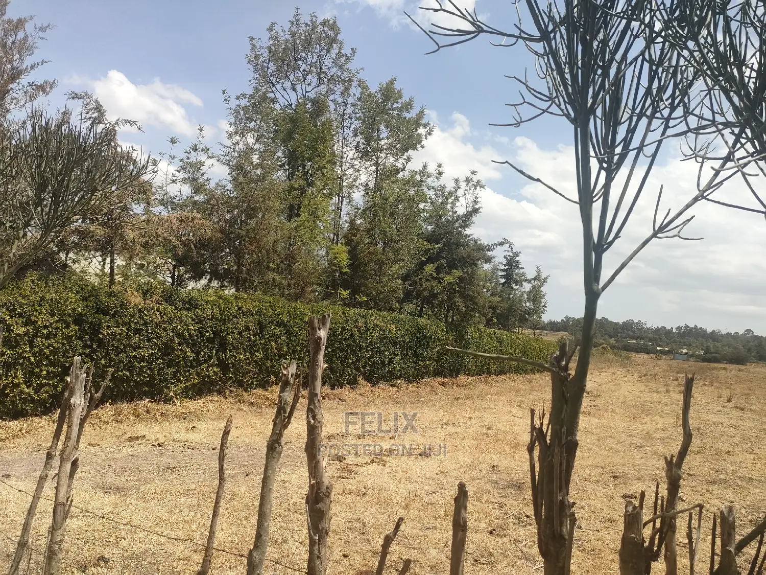 4 Acres Chaka/Narumoru ,Ndiriti