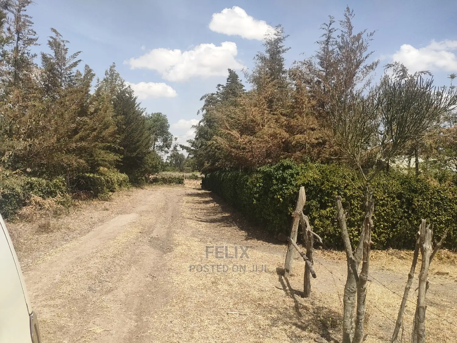 4 Acres Chaka/Narumoru ,Ndiriti
