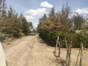 4 Acres Chaka/Narumoru ,Ndiriti