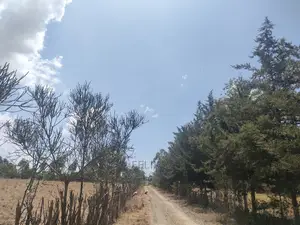 4 Acres Chaka/Narumoru ,Ndiriti