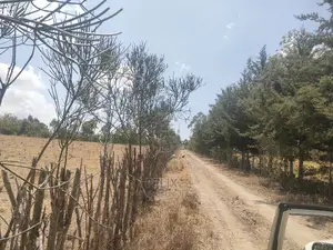 4 Acres Chaka/Narumoru ,Ndiriti