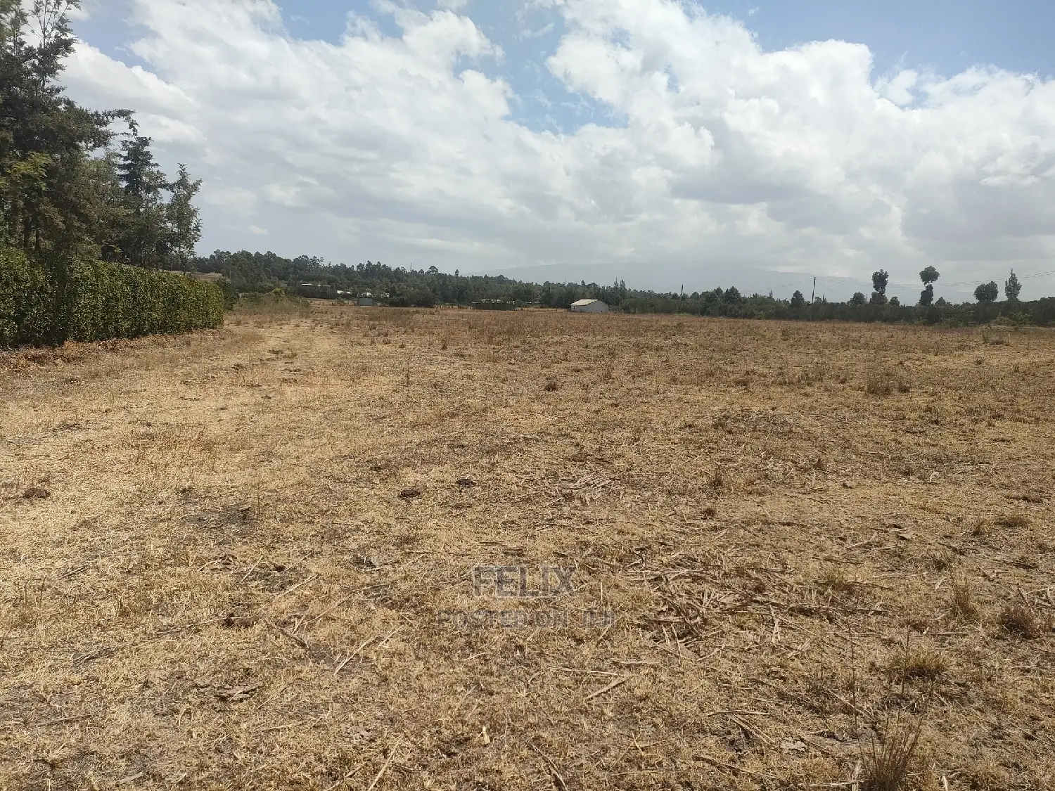 4 Acres Chaka/Narumoru ,Ndiriti
