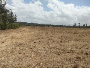 4 Acres Chaka/Narumoru ,Ndiriti
