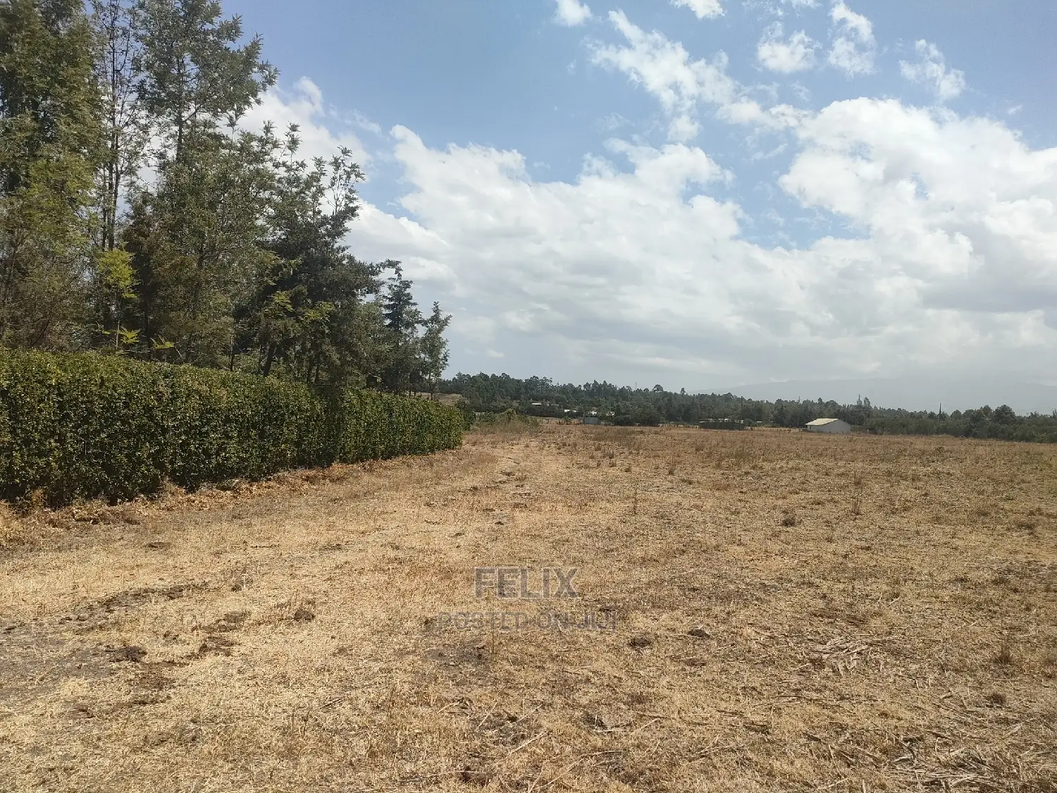 4 Acres Chaka/Narumoru ,Ndiriti