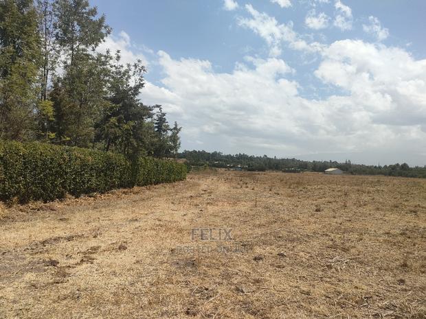 4 Acres Chaka/Narumoru ,Ndiriti - thumbnail 7