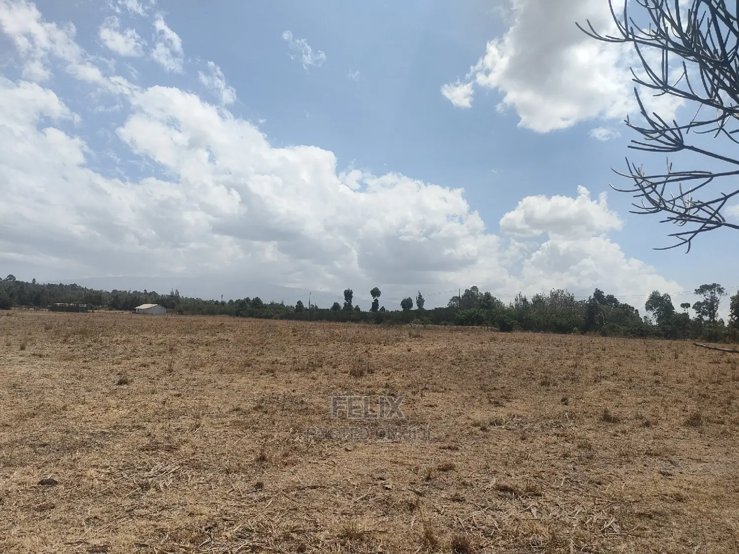4 Acres Chaka/Narumoru ,Ndiriti