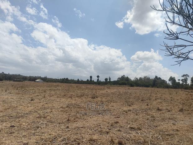 4 Acres Chaka/Narumoru ,Ndiriti - thumbnail 8