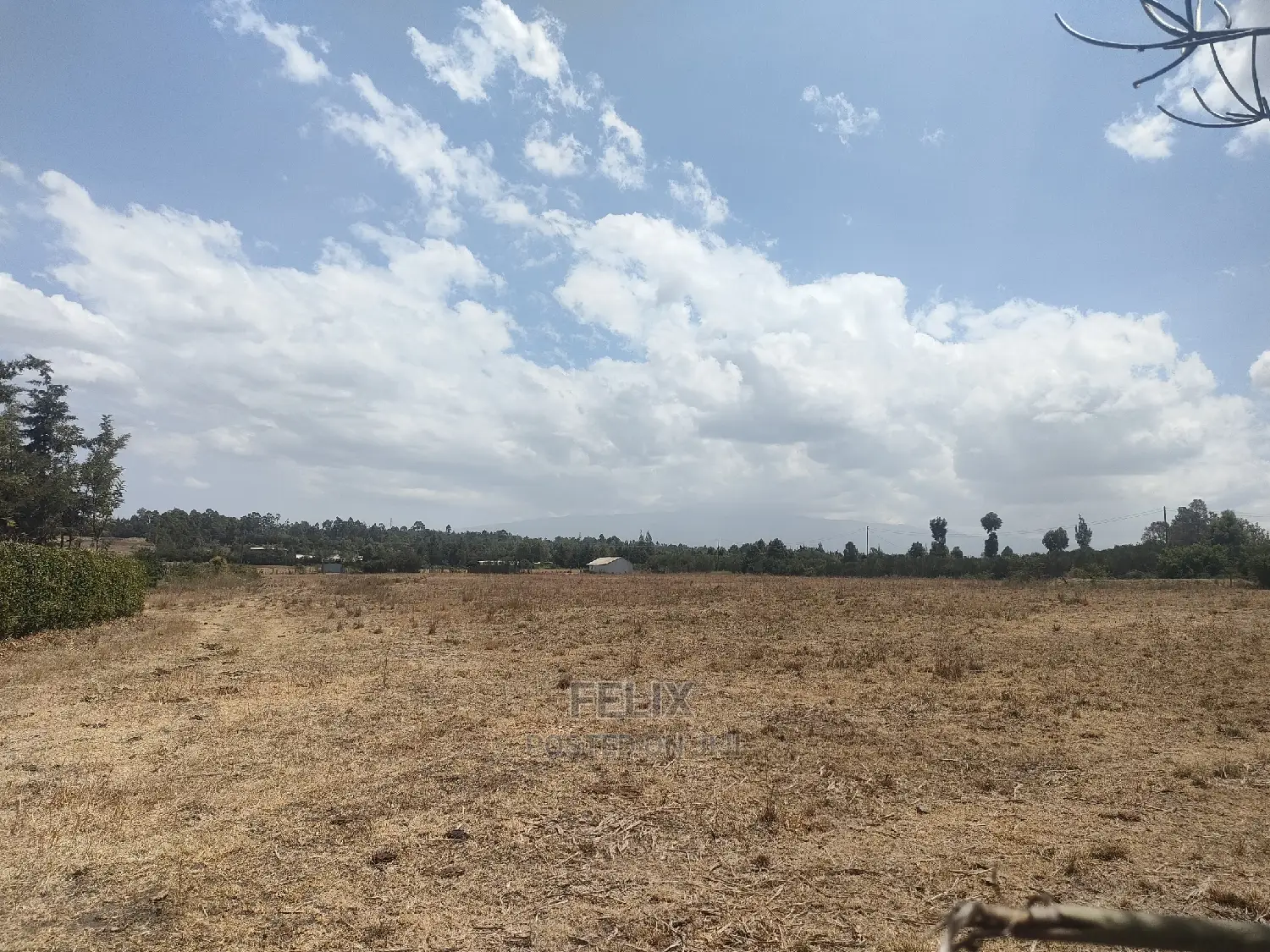 4 Acres Chaka/Narumoru ,Ndiriti