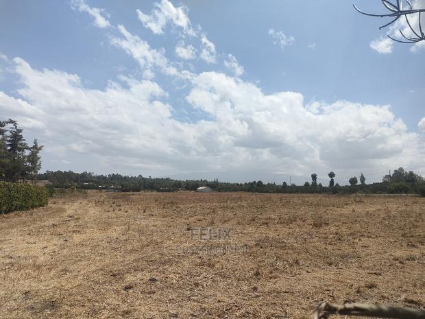 4 Acres Chaka/Narumoru ,Ndiriti - thumbnail 9