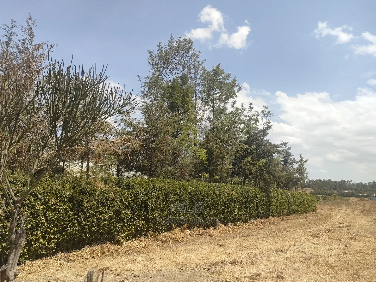 4 Acres Chaka/Narumoru ,Ndiriti