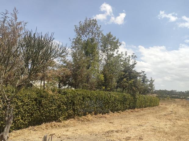 4 Acres Chaka/Narumoru ,Ndiriti - thumbnail 10