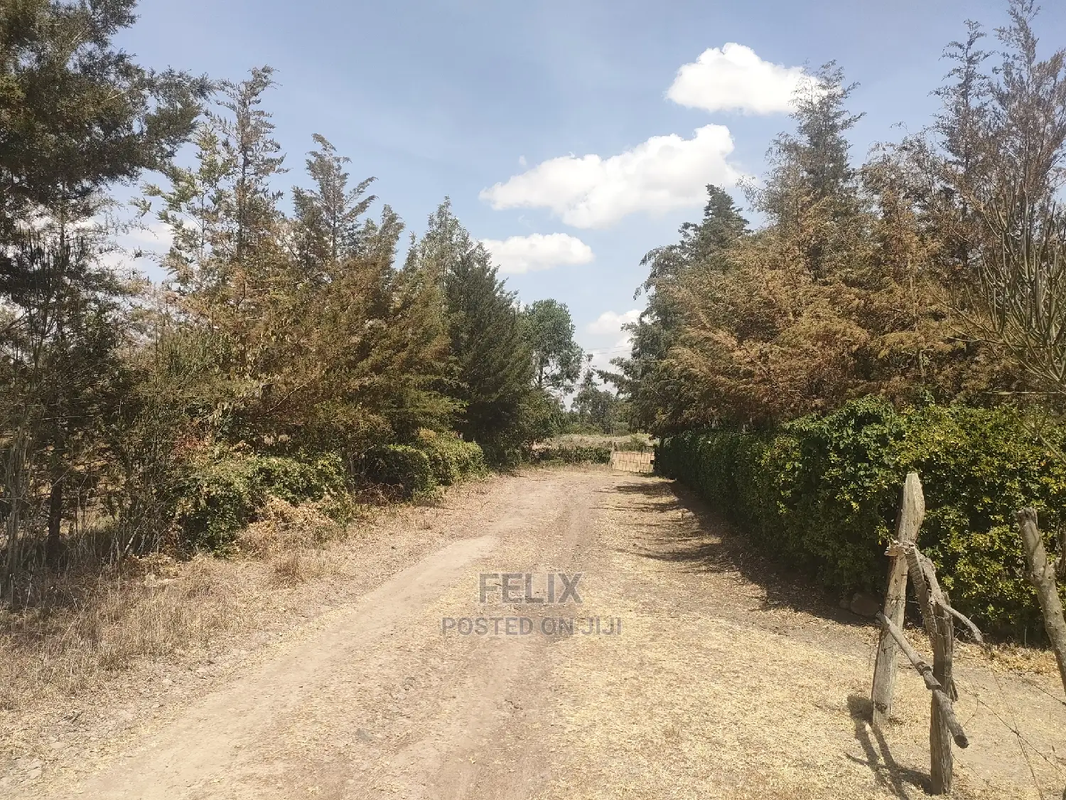 4 Acres Chaka/Narumoru ,Ndiriti