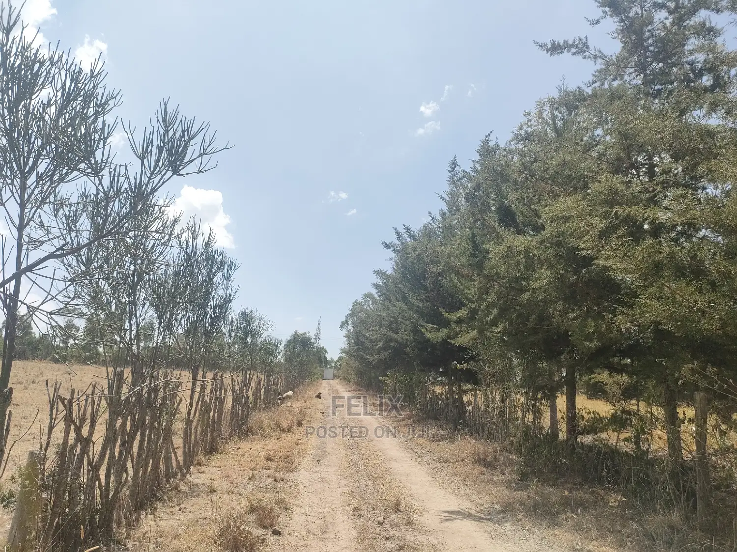 4 Acres Chaka/Narumoru ,Ndiriti