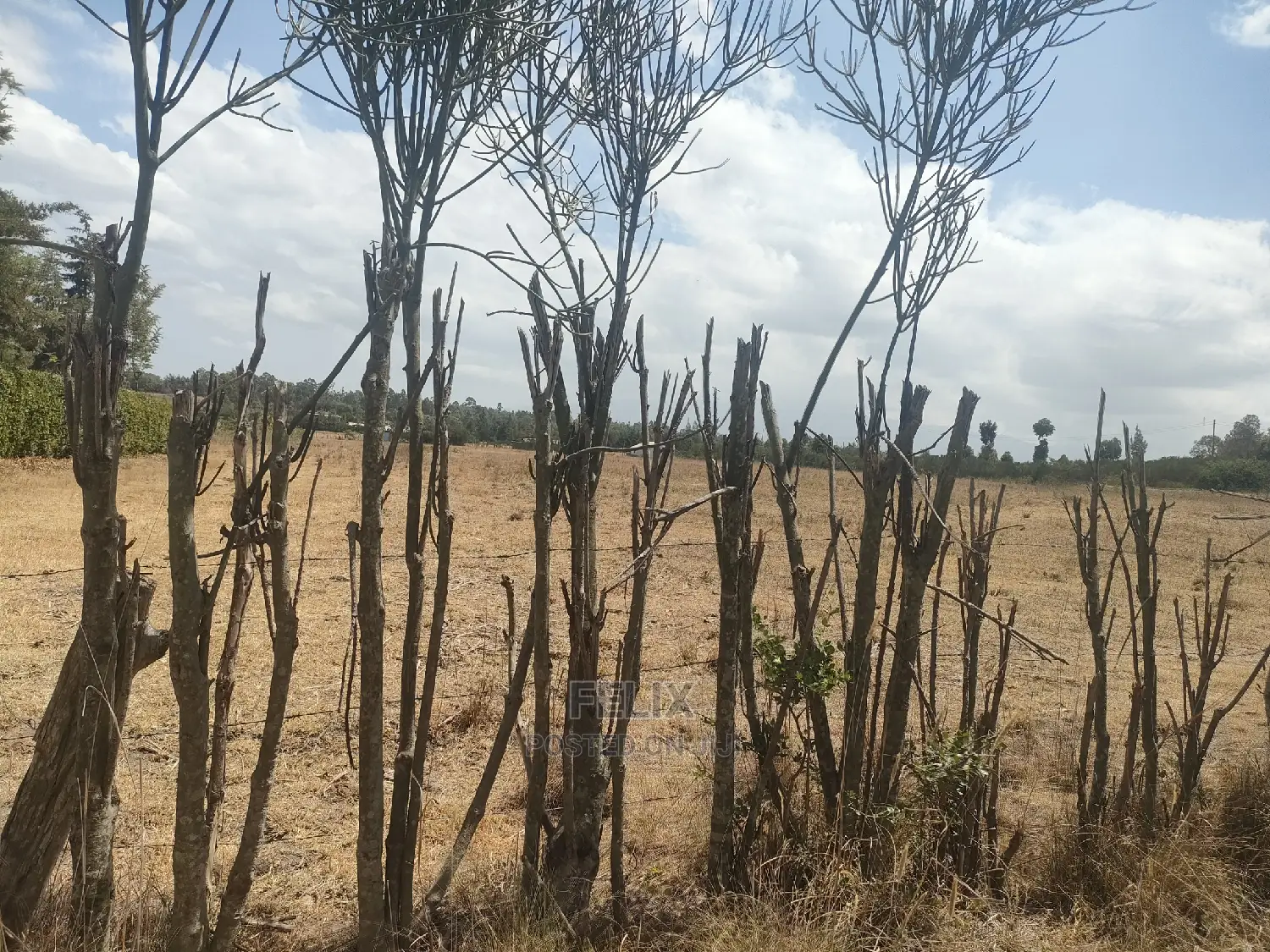 4 Acres Chaka/Narumoru ,Ndiriti