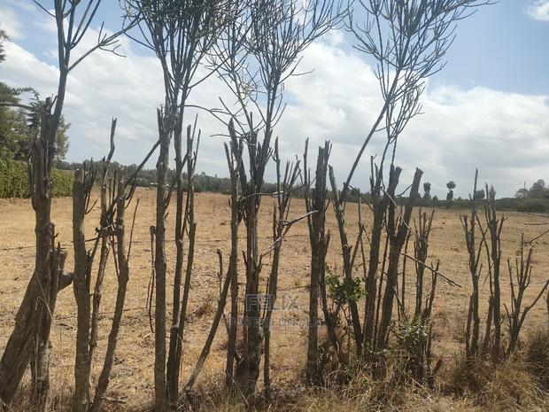 4 Acres Chaka/Narumoru ,Ndiriti - thumbnail 15