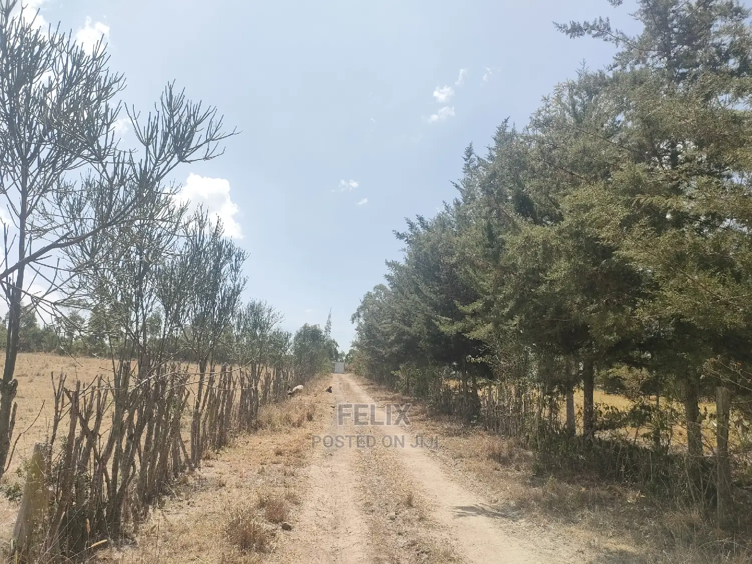 4 Acres Chaka/Narumoru ,Ndiriti