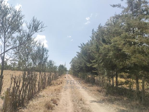 4 Acres Chaka/Narumoru ,Ndiriti - thumbnail 13