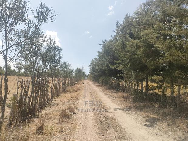 4 Acres Chaka/Narumoru ,Ndiriti - thumbnail 14