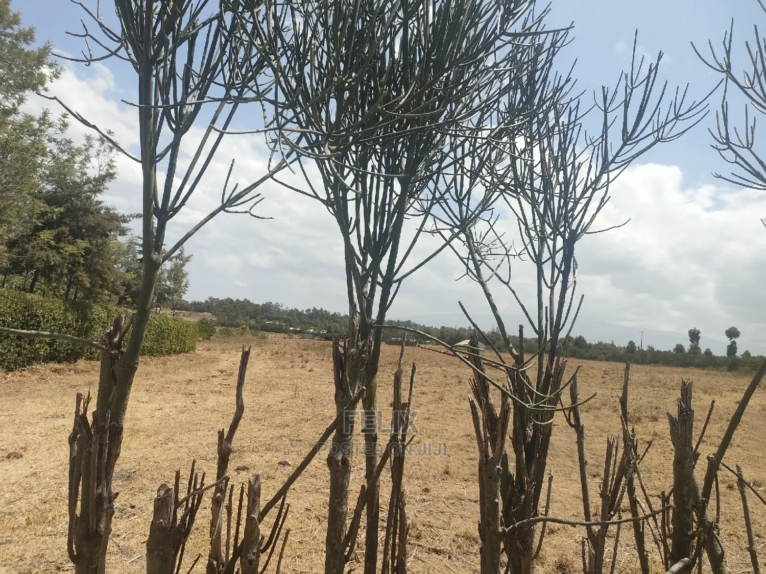 4 Acres Chaka/Narumoru ,Ndiriti