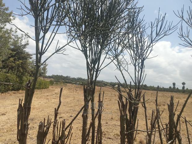 4 Acres Chaka/Narumoru ,Ndiriti - thumbnail 16