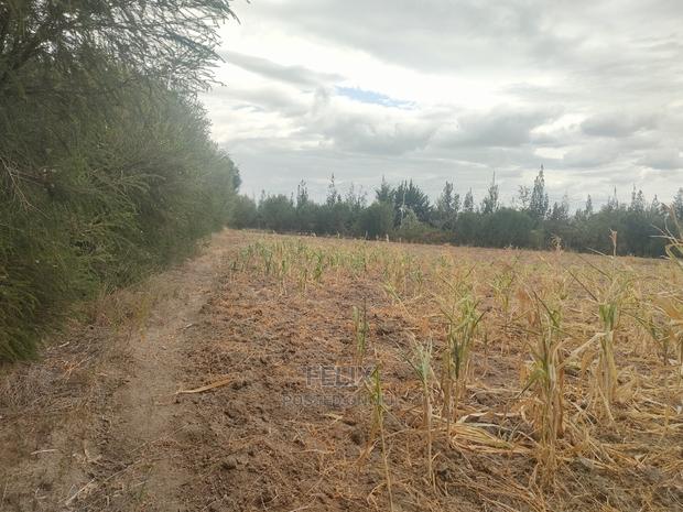 3 Acres Narumoru/Gatuanyaga - main view