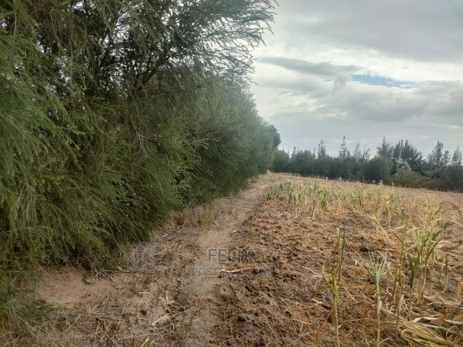 3 Acres Narumoru/Gatuanyaga