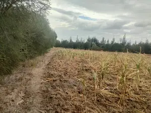 3 Acres Narumoru/Gatuanyaga