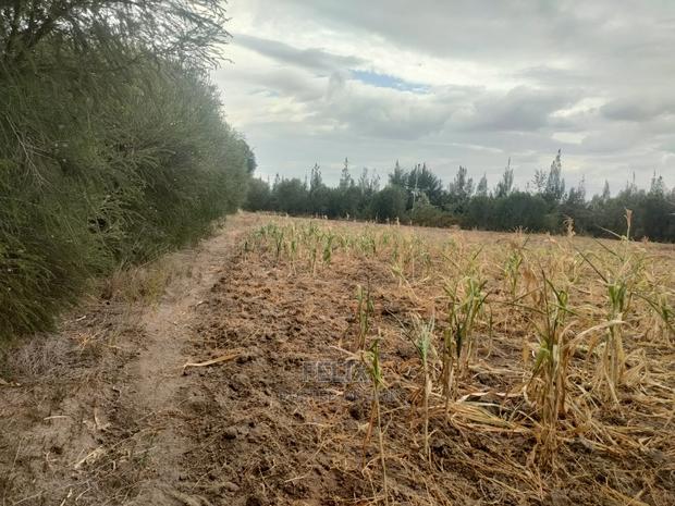 3 Acres Narumoru/Gatuanyaga - thumbnail 5