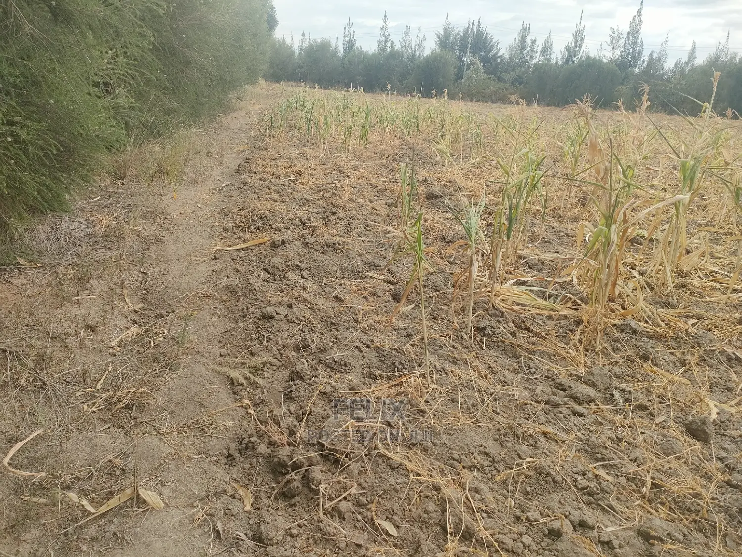 3 Acres Narumoru/Gatuanyaga